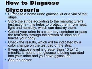 How to Diagnose Glycosuria Purchase a home urine glucose kit or a vial of test strips.  Store the strips according to the manufacturer's instructions - this helps to protect them from heat, light and humidity, which can destroy them. Collect your urine in a clean dry container or pass the test strip through the stream of urine as it leaves your body. Check the results, which will be indicated by a color change on the test pad of the strip. If your glucose level is greater than 10 to 12 mmol/L, it means that glucose is being excreted into your urine and you have glycosuria.  See the doctor. 