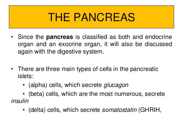 Endocrine system 1