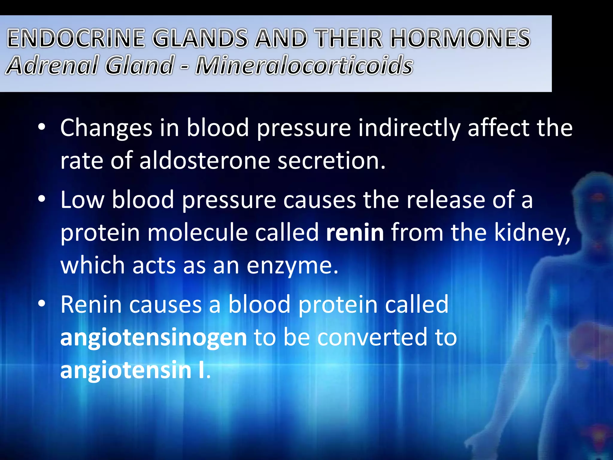 • Changes in blood pressure indirectly affect the 
rate of aldosterone secretion. 
• Low blood pressure causes the release of a 
protein molecule called renin from the kidney, 
which acts as an enzyme. 
• Renin causes a blood protein called 
angiotensinogen to be converted to 
angiotensin I. 
 
