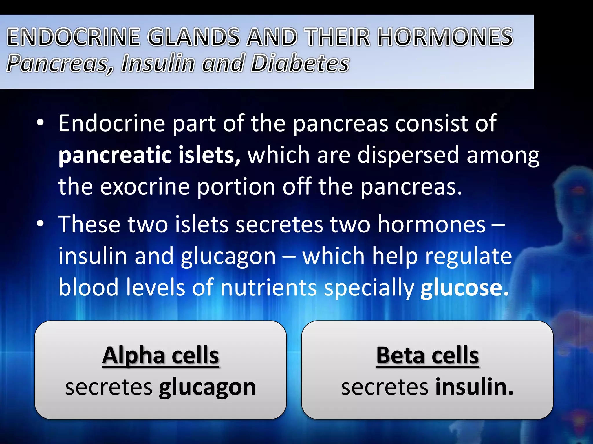 • Endocrine part of the pancreas consist of 
pancreatic islets, which are dispersed among 
the exocrine portion off the pancreas. 
• These two islets secretes two hormones – 
insulin and glucagon – which help regulate 
blood levels of nutrients specially glucose. 
Beta cells 
secretes insulin. 
Alpha cells 
secretes glucagon 
 