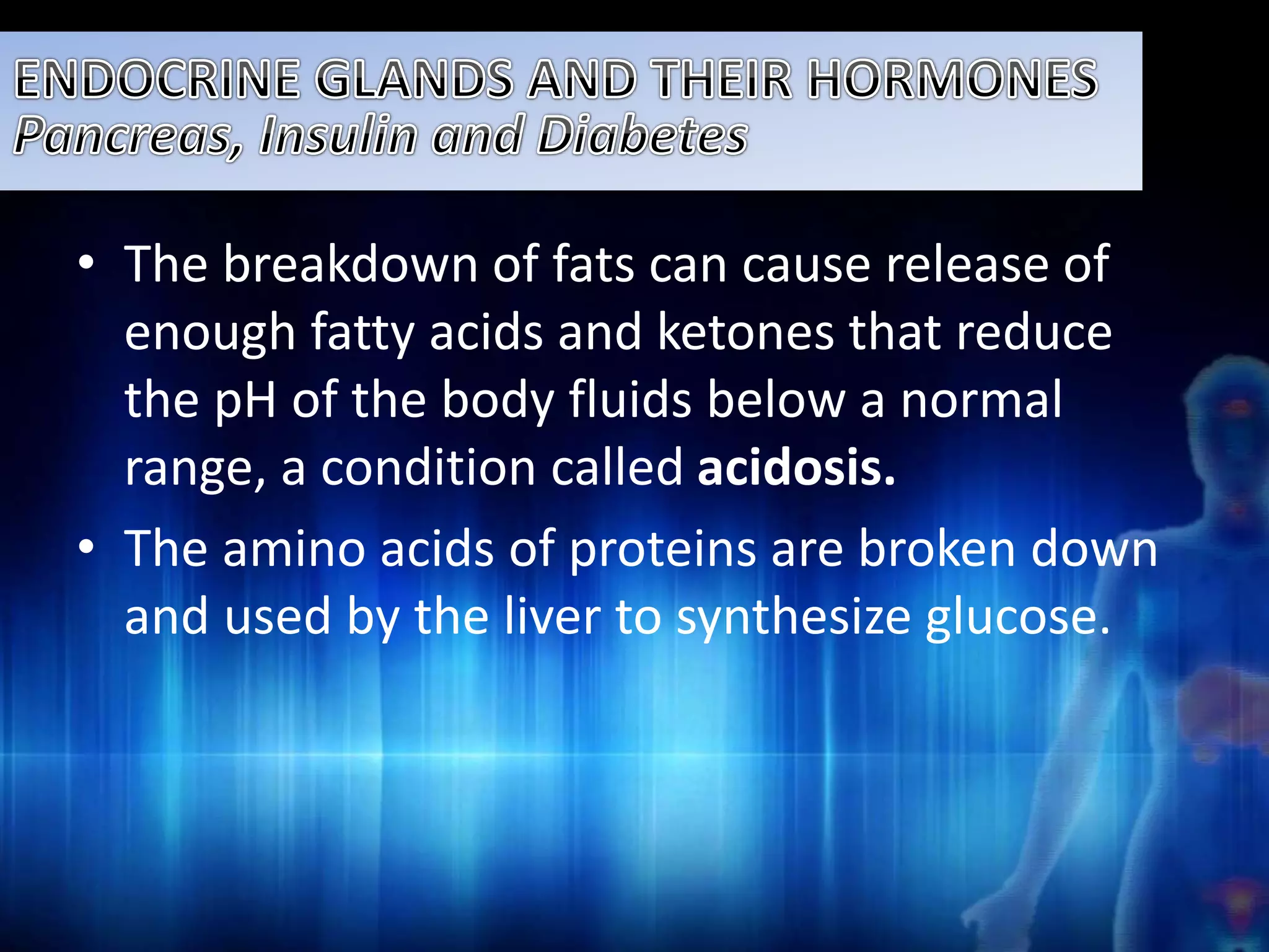 • The breakdown of fats can cause release of 
enough fatty acids and ketones that reduce 
the pH of the body fluids below a normal 
range, a condition called acidosis. 
• The amino acids of proteins are broken down 
and used by the liver to synthesize glucose. 
 