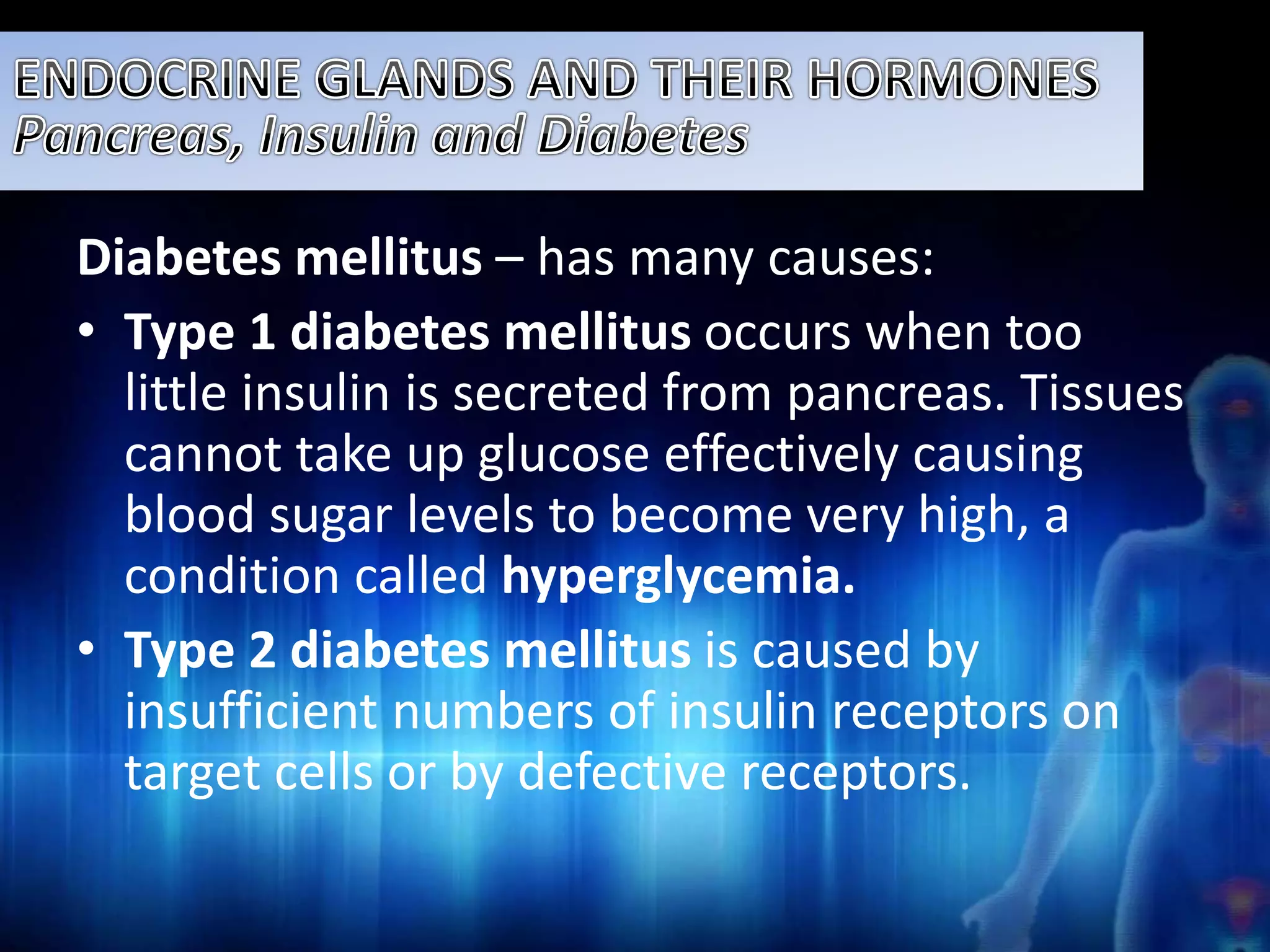 Diabetes mellitus – has many causes: 
• Type 1 diabetes mellitus occurs when too 
little insulin is secreted from pancreas. Tissues 
cannot take up glucose effectively causing 
blood sugar levels to become very high, a 
condition called hyperglycemia. 
• Type 2 diabetes mellitus is caused by 
insufficient numbers of insulin receptors on 
target cells or by defective receptors. 
 