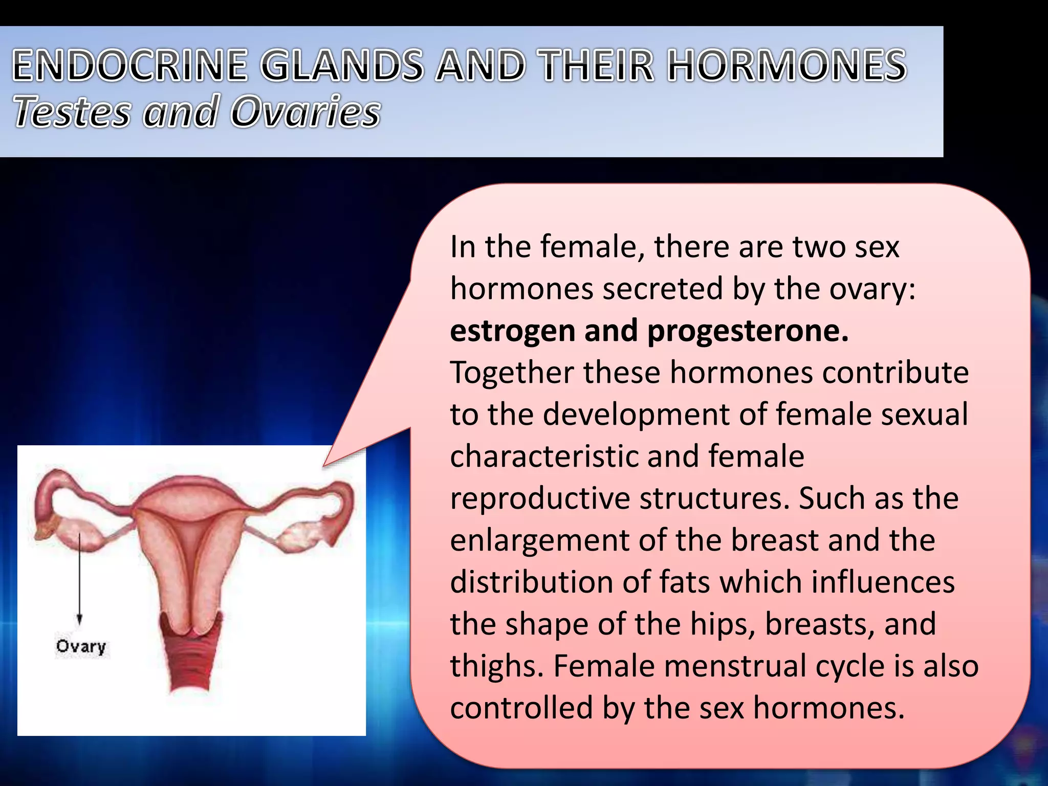 In the female, there are two sex 
hormones secreted by the ovary: 
estrogen and progesterone. 
Together these hormones contribute 
to the development of female sexual 
characteristic and female 
reproductive structures. Such as the 
enlargement of the breast and the 
distribution of fats which influences 
the shape of the hips, breasts, and 
thighs. Female menstrual cycle is also 
controlled by the sex hormones. 
 
