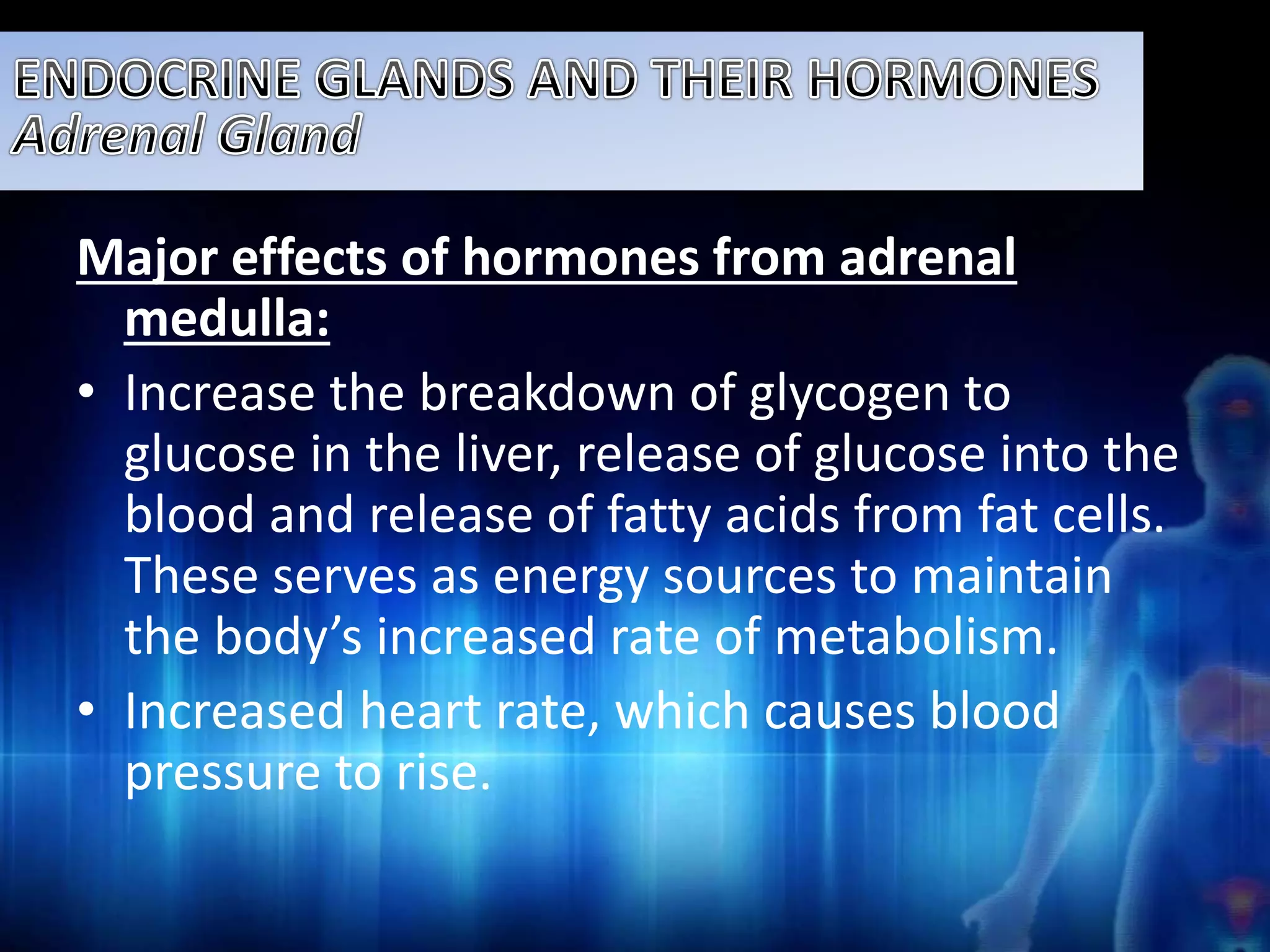 Major effects of hormones from adrenal 
medulla: 
• Increase the breakdown of glycogen to 
glucose in the liver, release of glucose into the 
blood and release of fatty acids from fat cells. 
These serves as energy sources to maintain 
the body’s increased rate of metabolism. 
• Increased heart rate, which causes blood 
pressure to rise. 
 