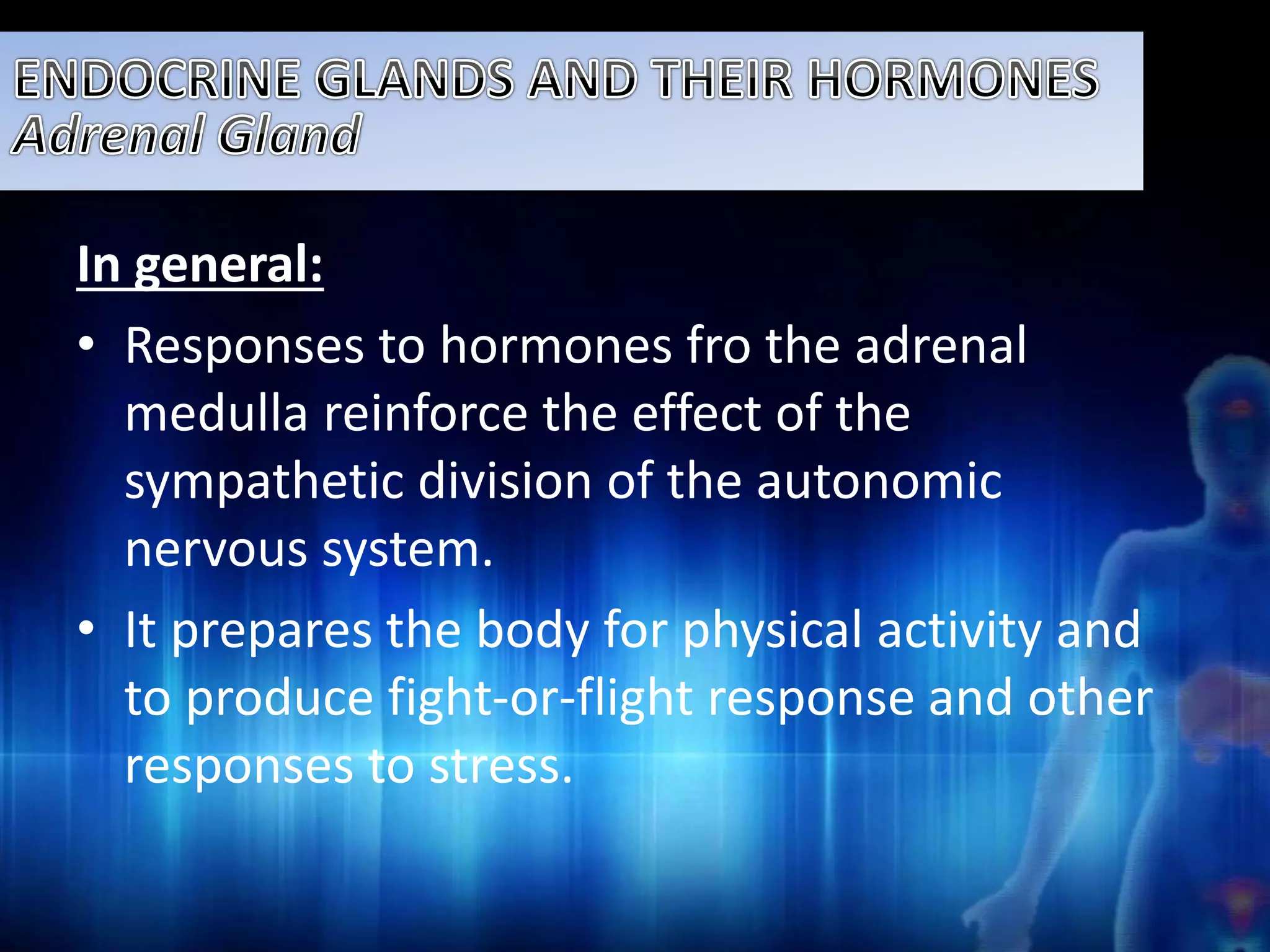 In general: 
• Responses to hormones fro the adrenal 
medulla reinforce the effect of the 
sympathetic division of the autonomic 
nervous system. 
• It prepares the body for physical activity and 
to produce fight-or-flight response and other 
responses to stress. 
 