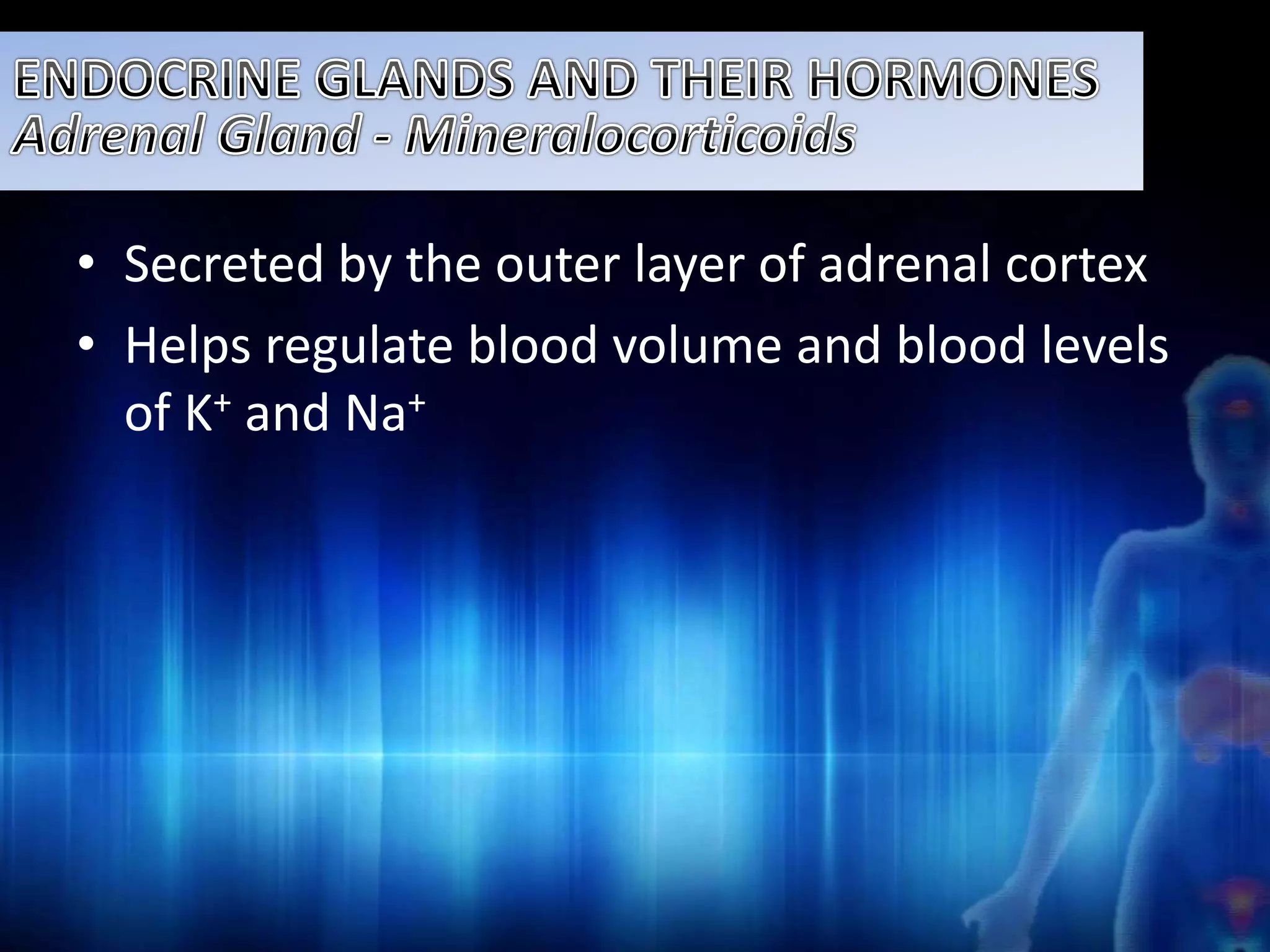 • Secreted by the outer layer of adrenal cortex 
• Helps regulate blood volume and blood levels 
of K+ and Na+ 
 