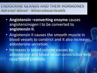 • Angiotensin –converting enzyme causes 
angiotensinogen I to be converted to 
angiotensin II. 
• Angiotensin II causes the smooth muscle in 
blood vessels to constrict and it also increases 
aldosterone secretion. 
• Increases in blood volume causes by 
aldosterone and blood vessel constriction help 
raise blood pressure. 
 