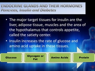 • The major target tissues for insulin are the 
liver, adipose tissue, muscles and the area of 
the hypothalamus that controls appetite, 
called the satiety center. 
• Insulin increases the rate of glucose and 
amino acid uptake in these tissues. 
Glucose 
Glycogen or 
Fat 
Amino Acids Protein 
 