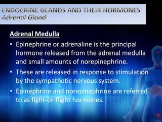 Adrenal Medulla 
• Epinephrine or adrenaline is the principal 
hormone released from the adrenal medulla 
and small amounts of norepinephrine. 
• These are released in response to stimulation 
by the sympathetic nervous system. 
• Epinephrine and norepinephrine are referred 
to as fight-or-flight hormones. 
 