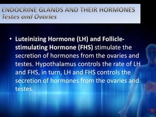 • Luteinizing Hormone (LH) and Follicle-stimulating 
Hormone (FHS) stimulate the 
secretion of hormones from the ovaries and 
testes. Hypothalamus controls the rate of LH 
and FHS, in turn, LH and FHS controls the 
secretion of hormones from the ovaries and 
testes. 
 