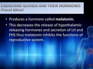 • Produces a hormone called melatonin. 
• This decreases the release of hypothalamic-releasing 
hormones and secretion of LH and 
FHS thus melatonin inhibits the functions of 
reproductive system. 
 