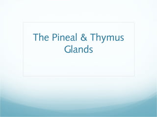 The Pineal & Thymus
Glands
 