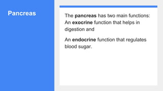 Pancreas The pancreas has two main functions:
An exocrine function that helps in
digestion and
An endocrine function that regulates
blood sugar.
 