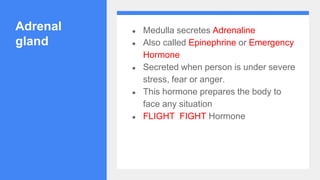 Adrenal
gland
● Medulla secretes Adrenaline
● Also called Epinephrine or Emergency
Hormone
● Secreted when person is under severe
stress, fear or anger.
● This hormone prepares the body to
face any situation
● FLIGHT FIGHT Hormone
 
