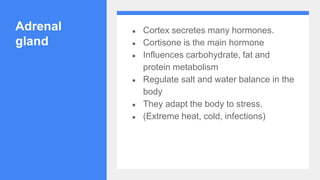Adrenal
gland
● Cortex secretes many hormones.
● Cortisone is the main hormone
● Influences carbohydrate, fat and
protein metabolism
● Regulate salt and water balance in the
body
● They adapt the body to stress.
● (Extreme heat, cold, infections)
 