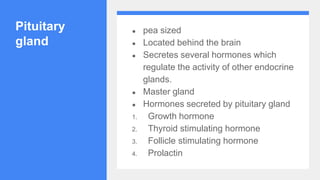Pituitary
gland
● pea sized
● Located behind the brain
● Secretes several hormones which
regulate the activity of other endocrine
glands.
● Master gland
● Hormones secreted by pituitary gland
1. Growth hormone
2. Thyroid stimulating hormone
3. Follicle stimulating hormone
4. Prolactin
 