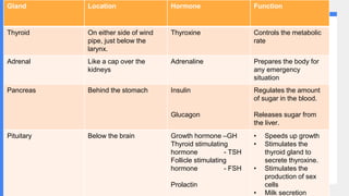 Gland Location Hormone Function
Thyroid On either side of wind
pipe, just below the
larynx.
Thyroxine Controls the metabolic
rate
Adrenal Like a cap over the
kidneys
Adrenaline Prepares the body for
any emergency
situation
Pancreas Behind the stomach Insulin
Glucagon
Regulates the amount
of sugar in the blood.
Releases sugar from
the liver.
Pituitary Below the brain Growth hormone –GH
Thyroid stimulating
hormone - TSH
Follicle stimulating
hormone - FSH
Prolactin
• Speeds up growth
• Stimulates the
thyroid gland to
secrete thyroxine.
• Stimulates the
production of sex
cells
• Milk secretion
 