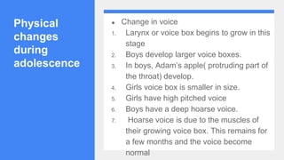 Physical
changes
during
adolescence
● Change in voice
1. Larynx or voice box begins to grow in this
stage
2. Boys develop larger voice boxes.
3. In boys, Adam’s apple( protruding part of
the throat) develop.
4. Girls voice box is smaller in size.
5. Girls have high pitched voice
6. Boys have a deep hoarse voice.
7. Hoarse voice is due to the muscles of
their growing voice box. This remains for
a few months and the voice become
normal
 