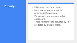 Puberty ● It is brought out by hormones.
● Male sex hormones are called
Androgens.{Testosterone}
● Female sex hormones are called
oestrogens.
● These hormones are activated by FSH
produced by pituitary gland.
 