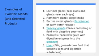 Examples of
Exocrine Glands
(and Secreted
Product)
1. Lacrimal gland (Tear ducts and
glands near each eye)
2. Mammary gland (Breast milk)
3. Eccrine sweat glands (Perspiration
or salty water release)
4. Salivary glands (Saliva consisting of
fluid with digestive enzymes)
5. Pancreas (Pancreatic juice with
digestive enzymes into the
stomach)
6. Liver (Bile, green-brown fluid that
contains salts and digestion
substances)
 