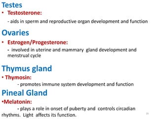 19
Testes
• Testosterone:
- aids in sperm and reproductive organ development and function
Ovaries
• Estrogen/Progesterone:
- involved in uterine and mammary gland development and
menstrual cycle
Thymus gland
• Thymosin:
- promotes immune system development and function
Pineal Gland
•Melatonin:
- plays a role in onset of puberty and controls circadian
rhythms. Light affects its function.
 