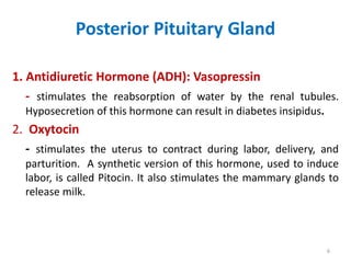 6
Posterior Pituitary Gland
1. Antidiuretic Hormone (ADH): Vasopressin
- stimulates the reabsorption of water by the renal tubules.
Hyposecretion of this hormone can result in diabetes insipidus.
2. Oxytocin
- stimulates the uterus to contract during labor, delivery, and
parturition. A synthetic version of this hormone, used to induce
labor, is called Pitocin. It also stimulates the mammary glands to
release milk.
 