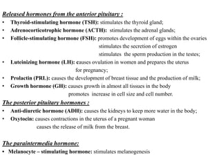 Released hormones from the anterior pituitary :
•   Thyroid-stimulating hormone (TSH): stimulates the thyroid gland;
•   Adrenocorticotrophic hormone (ACTH): stimulates the adrenal glands;
•   Follicle-stimulating hormone (FSH): promotes development of eggs within the ovaries
                                          stimulates the secretion of estrogen
                                          stimulates the sperm production in the testes;
•   Luteinizing hormone (LH): causes ovulation in women and prepares the uterus
                                for pregnancy;
•   Prolactin (PRL): causes the development of breast tissue and the production of milk;
•   Growth hormone (GH): causes growth in almost all tissues in the body
                             promotes increase in cell size and cell number.
The posterior pituitary hormones :
•   Anti-diuretic hormone (ADH): causes the kidneys to keep more water in the body;
•   Oxytocin: causes contractions in the uterus of a pregnant woman
               causes the release of milk from the breast.


The paraintermedia hormone:
• Melanocyte – stimulating hormone: stimulates melanogenesis
 