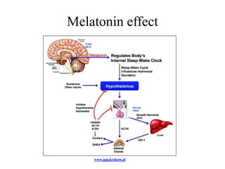 Melatonin effect




    www.jpp.krakow.pl
 