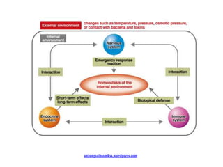 anjungsainssmkss.wordpress.com
 