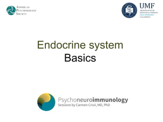 Endocrine system
    Basics
 
