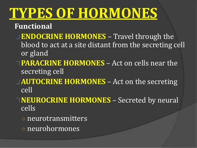 Endocrine system basic