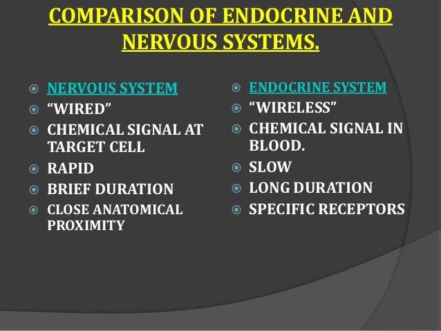 Endocrine system basic