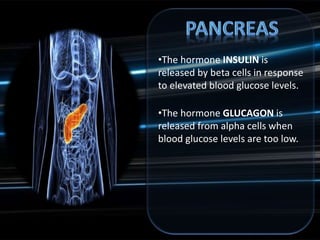 •The hormone INSULIN is
released by beta cells in response
to elevated blood glucose levels.
•The hormone GLUCAGON is
released from alpha cells when
blood glucose levels are too low.
 