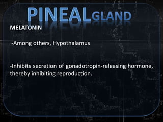 MELATONIN
-Among others, Hypothalamus
-Inhibits secretion of gonadotropin-releasing hormone,
thereby inhibiting reproduction.
 