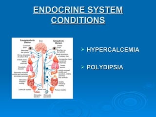 ENDOCRINE SYSTEM
   CONDITIONS


           HYPERCALCEMIA

           POLYDIPSIA
 