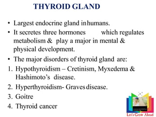 Endocrine system diabetes thyroid disease and hormones by rakesh rana ...