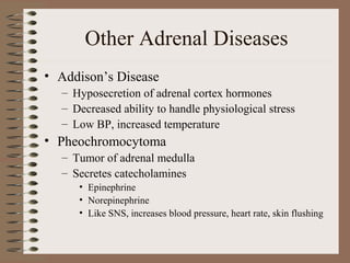 Other Adrenal Diseases
• Addison’s Disease
– Hyposecretion of adrenal cortex hormones
– Decreased ability to handle physiological stress
– Low BP, increased temperature
• Pheochromocytoma
– Tumor of adrenal medulla
– Secretes catecholamines
• Epinephrine
• Norepinephrine
• Like SNS, increases blood pressure, heart rate, skin flushing
 
