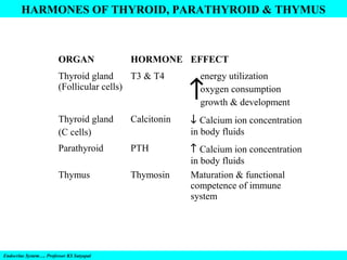 HARMONES OF THYROID, PARATHYROID & THYMUS

ORGAN

HORMONE EFFECT

Thyroid gland
T3 & T4
(Follicular cells)

energy utilization
oxygen consumption
growth & development

↑

Thyroid gland
(C cells)

Calcitonin

↓ Calcium ion concentration
in body fluids

Parathyroid

PTH

Thymus

Thymosin

↑ Calcium ion concentration
in body fluids
Maturation & functional
competence of immune
system

Endocrine System…. Professor KS Satyapal

 