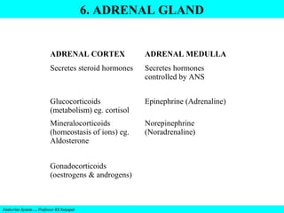 6. ADRENAL GLAND

ADRENAL CORTEX

ADRENAL MEDULLA

Secretes steroid hormones

Secretes hormones
controlled by ANS

Glucocorticoids
(metabolism) eg. cortisol

Epinephrine (Adrenaline)

Mineralocorticoids
(homeostasis of ions) eg.
Aldosterone

Norepinephrine
(Noradrenaline)

Gonadocorticoids
(oestrogens & androgens)

Endocrine System…. Professor KS Satyapal

 