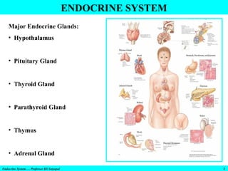 ENDOCRINE SYSTEM
Major Endocrine Glands:
• Hypothalamus
• Pituitary Gland
• Thyroid Gland
• Parathyroid Gland
• Thymus
• Adrenal Gland
Endocrine System…. Professor KS Satyapal

2

 
