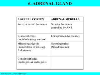 6. ADRENAL GLAND
Endocrine System…. Professor KS Satyapal
ADRENAL CORTEX ADRENAL MEDULLA
Secretes steroid hormones Secretes hormones
controlled by ANS
Glucocorticoids
(metabolism) eg. cortisol
Epinephrine (Adrenaline)
Mineralocorticoids
(homeostasis of ions) eg.
Aldosterone
Norepinephrine
(Noradrenaline)
Gonadocorticoids
(oestrogens & androgens)
 