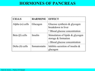 Endocrine System…. Professor KS Satyapal
HORMONES OF PANCREAS
CELLS HARMONE EFFECT
Alpha () cells Glucagon Glucose synthesis & glycogen
breakdown in liver
 Blood glucose concentration
Beta () cells Insulin Stimulation of lipids & glycogen
storage & formation
 Blood glucose concentration
Delta () cells Somatostatin Inhibits secretion of insulin &
glucagon
 