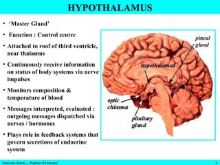 HYPOTHALAMUS
Endocrine System…. Professor KS Satyapal 4
• ‘Master Gland’
• Function : Control centre
• Attached to roof of third ventricle,
near thalamus
• Continuously receive information
on status of body systems via nerve
impulses
• Monitors composition &
temperature of blood
• Messages interpreted, evaluated :
outgoing messages dispatched via
nerves / hormones
• Plays role in feedback systems that
govern secretions of endocrine
system
 