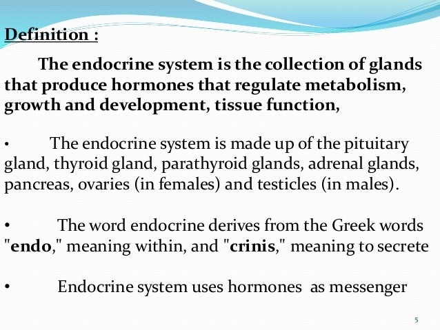 Endocrine System Amp Exocrine System