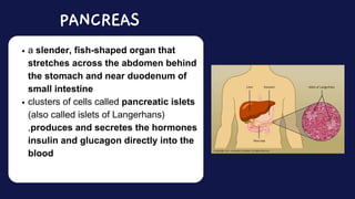 a slender, fish-shaped organ that
stretches across the abdomen behind
the stomach and near duodenum of
small intestine
clusters of cells called pancreatic islets
(also called islets of Langerhans)
,produces and secretes the hormones
insulin and glucagon directly into the
blood
PANCREAS
 