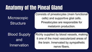 Consists of pinealocytes (main functional
cells) and supportive glial cells.
Pinealocytes are responsible for
melatonin production.
Richly supplied by blood vessels, making
it one of the most vascularized areas of
the brain. Innervated by sympathetic
nerve fibers.
Microscopic
Structure
Blood Supply
and
Innervation
Anatomy of the Pineal Gland
 