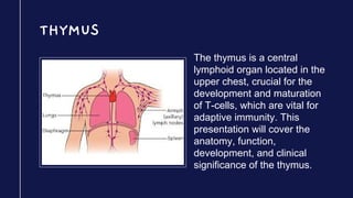 THYMUS
The thymus is a central
lymphoid organ located in the
upper chest, crucial for the
development and maturation
of T-cells, which are vital for
adaptive immunity. This
presentation will cover the
anatomy, function,
development, and clinical
significance of the thymus.
 