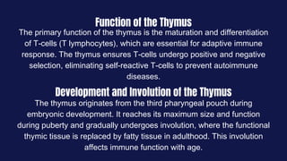Function of the Thymus
The primary function of the thymus is the maturation and differentiation
of T-cells (T lymphocytes), which are essential for adaptive immune
response. The thymus ensures T-cells undergo positive and negative
selection, eliminating self-reactive T-cells to prevent autoimmune
diseases.
Development and Involution of the Thymus
The thymus originates from the third pharyngeal pouch during
embryonic development. It reaches its maximum size and function
during puberty and gradually undergoes involution, where the functional
thymic tissue is replaced by fatty tissue in adulthood. This involution
affects immune function with age.
 