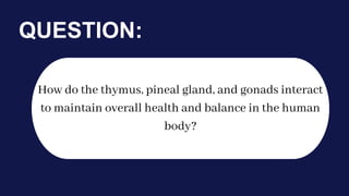 How do the thymus, pineal gland, and gonads interact
to maintain overall health and balance in the human
body?
QUESTION:
 