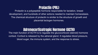 Prolactin (PRL)
Adrenocorticotropic Hormone (ACTH)
Prolactin is a polypeptide hormone responsible for lactation, breast
development, and hundreds of other actions needed to maintain homeostasis.
The chemical structure of prolactin is similar to the structure of growth and
placental lactogen hormones.
The main function of ACTH is to regulate the glucocorticoid (steroid) hormone
cortisol. Cortisol is released by the adrenal gland. It regulates blood pressure,
blood sugar, the immune system, and the response to stress.
 